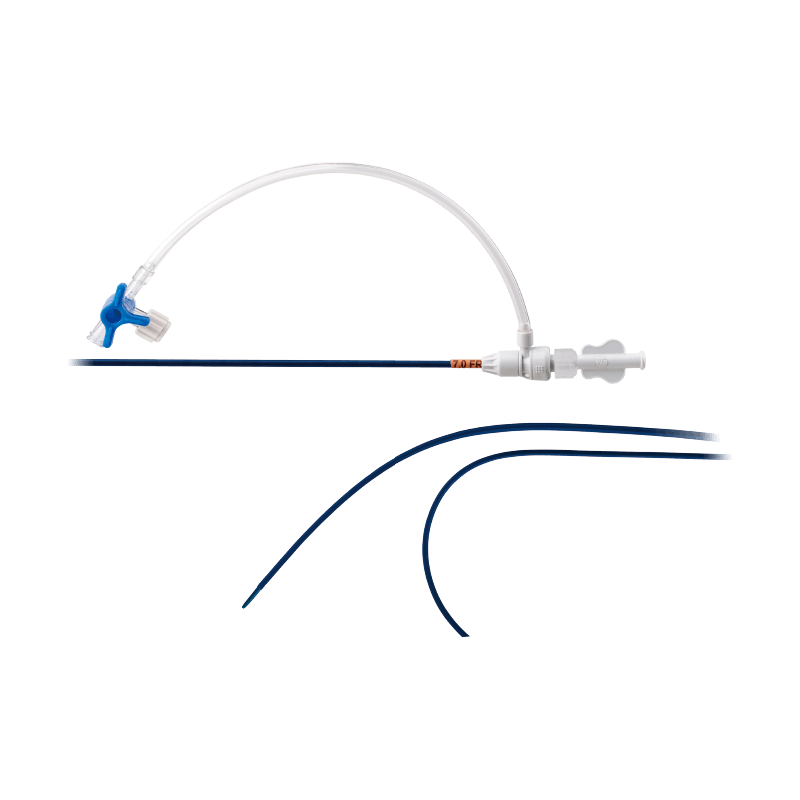 LifeTech Scientific SteerEase structural-heart introducer with sheath, dilator, valve, and delivery components